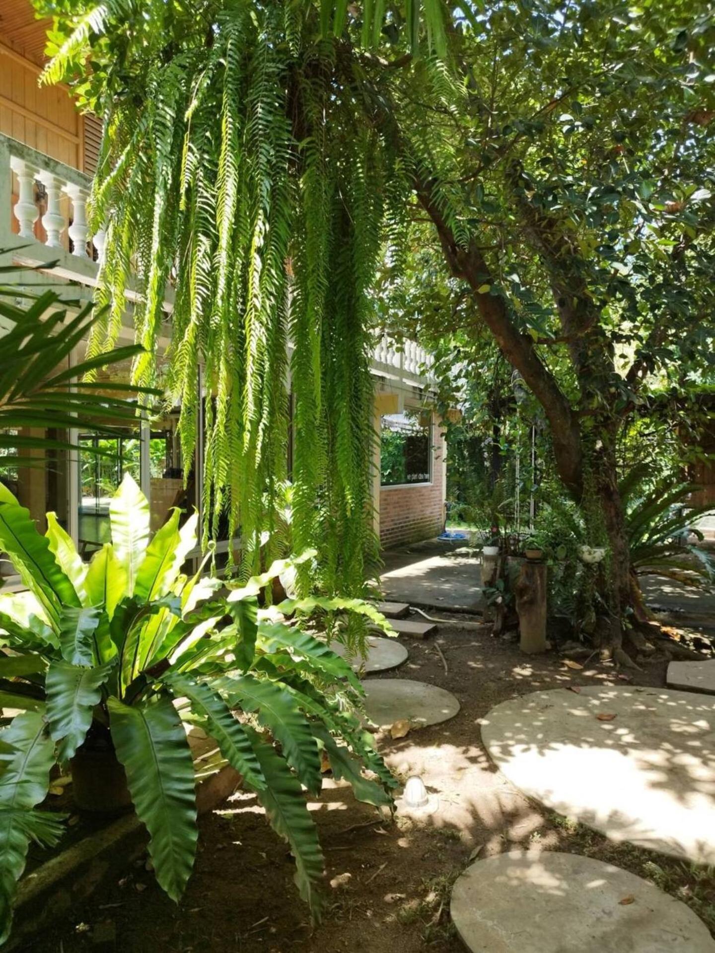 Atelier 36 Ξενοδοχείο Τσιάνγκ Μάι Εξωτερικό φωτογραφία